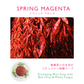 【ギフトボックス】SPRING MAGENTA