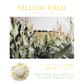 YELLOW FIELD 単品スープボックス（８月販売開始）